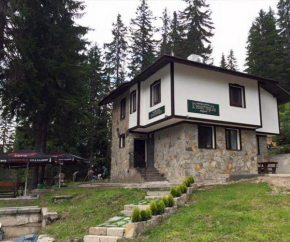 Отель Family Hotel Ginger, Пампорово